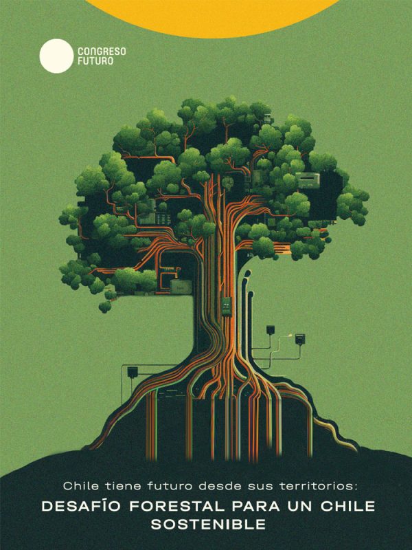 publi_polomadera_0000_Capa 3